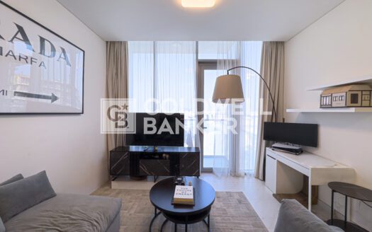 Luxurious Fully Furnished | High ROI | Tenanted