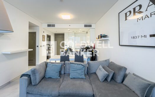 Luxurious Fully Furnished | High ROI | Tenanted