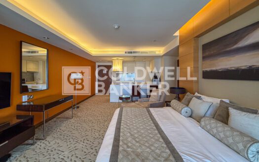 Vacant | Zabeel View | High Floor