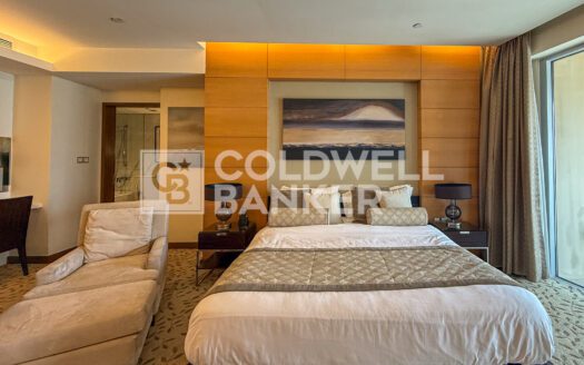 Vacant | Zabeel View | High Floor