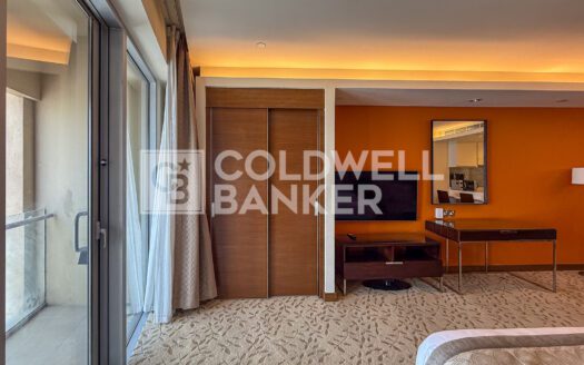 Vacant | Zabeel View | High Floor