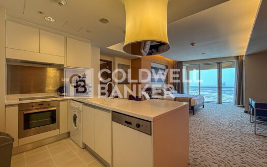 Vacant | Zabeel View | High Floor