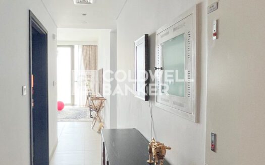 Burj Khalifa View | Fully Furnished | Sapcious