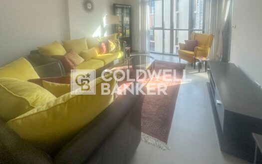 Specious and Upgraded Unit | Furnished Near Metro