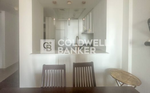 Specious and Upgraded Unit | Furnished Near Metro