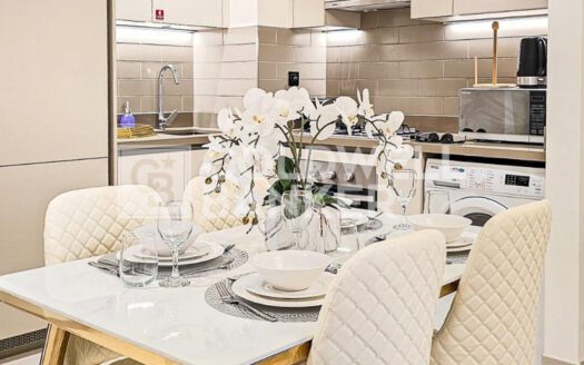 Vacant | Ready To Move | Furnished and Bright