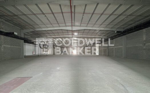 Supermarket | Multiple Shops Available