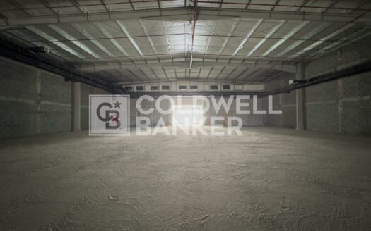 Supermarket | Multiple Shops Available