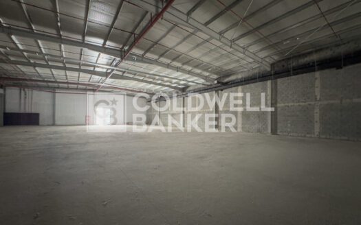 Supermarket | Multiple Shops Available