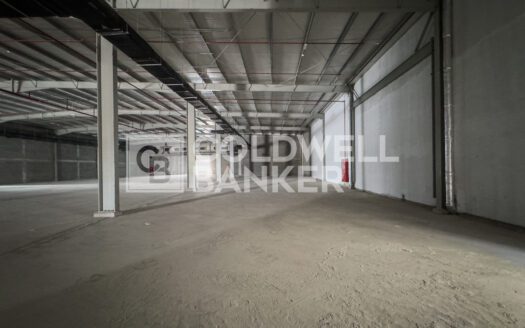 Supermarket | Multiple Shops Available