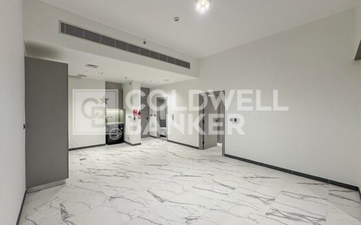 Vacant | Chiller Free | Burj Khalifa View