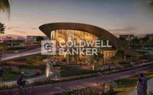 Single Row | Delphi Athlon | Genuine Resale