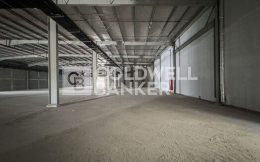 Hyper Market | Last Shop Available