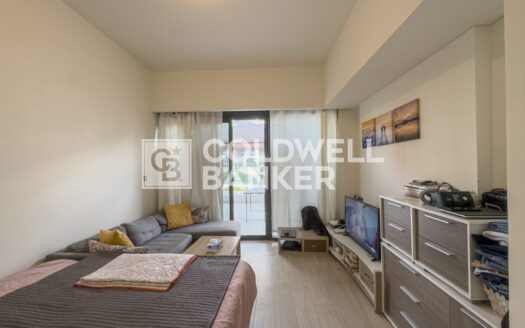 Huge Layout | Boulevard View | High ROI