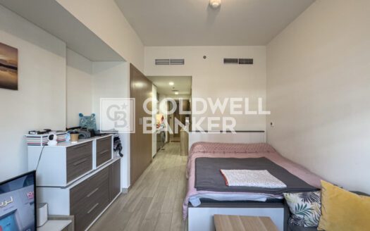 Huge Layout | Boulevard View | High ROI