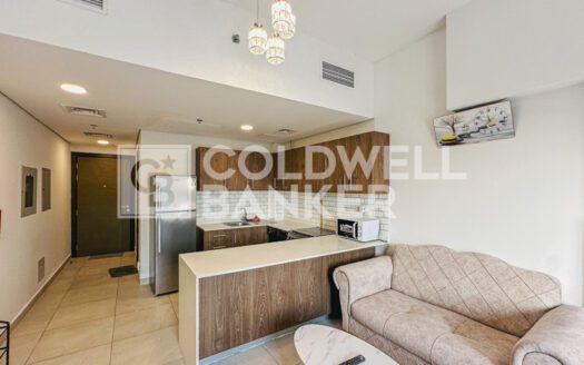 Luxury Furnished | Vacant | Near Circle Mall