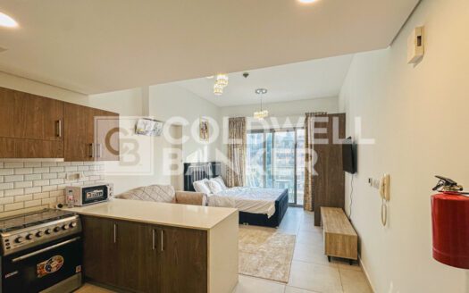 Luxury Furnished | Vacant | Near Circle Mall