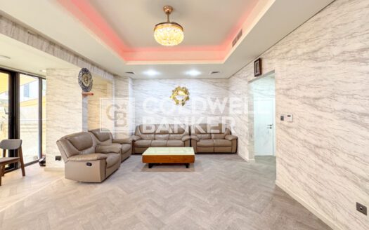 Big Plot | Upgraded | Rare Unit