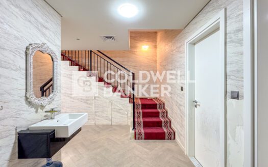 Big Plot | Upgraded | Rare Unit