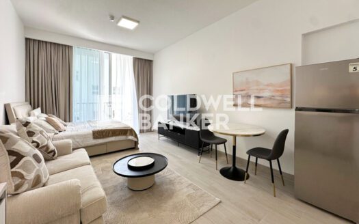 Fully Furnished | Cozy Studio | 4 Cheques