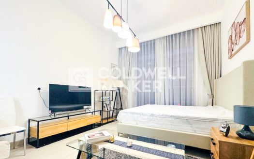 Furnished I Luxury Finishing I Flexible Cheques