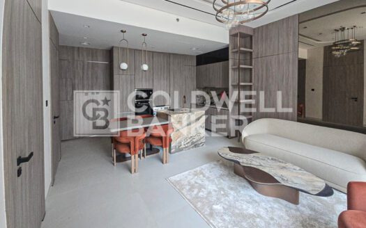 Fully Furnished | Multiple Cheques | Ready To Move