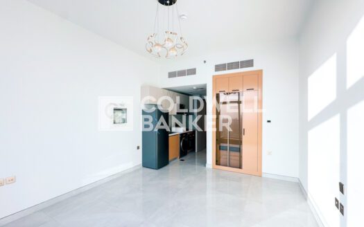 Vacant Studio | Flexible Cheques | High Floor