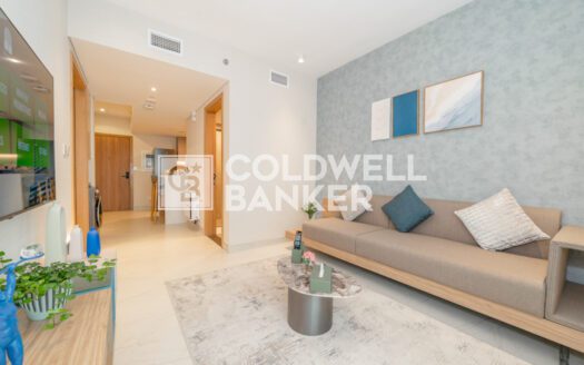 Brand New 1BR | Furnished | City View