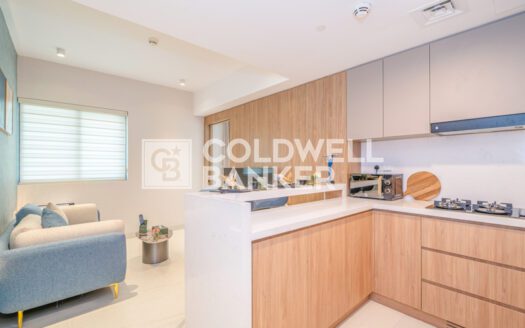Brand New 1BR | Furnished | City View