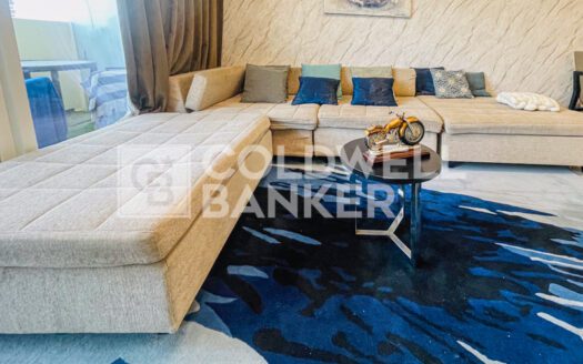 Furnished | Multiple Cheques | Skyline Views
