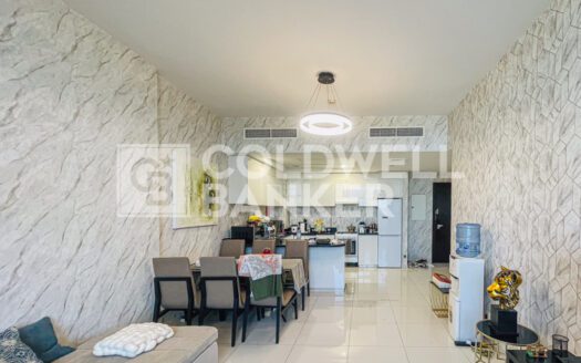 Furnished | Multiple Cheques | Skyline Views