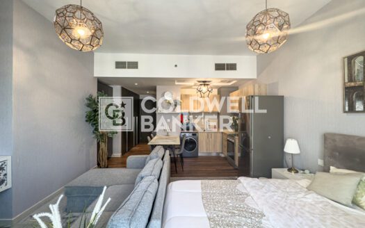 Fully Furnished | Brand New | Canal View