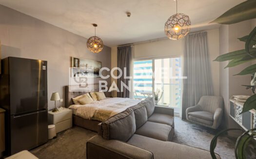 Fully Furnished | Brand New | Canal View