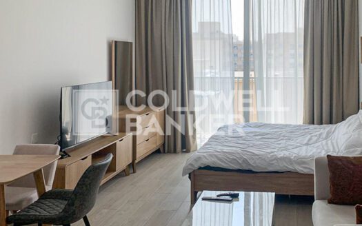 Fully Furnished | Chiller Free | Flexible Cheques