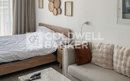 Fully Furnished | Chiller Free | Flexible Cheques