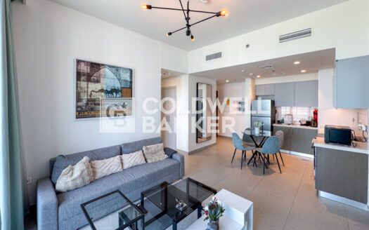 Furnished 1BR | Available | Downtown
