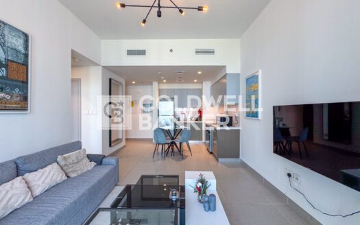 Furnished 1BR | Available | Downtown