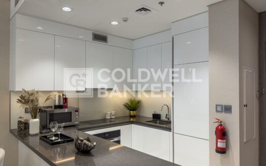 Furnished | Lagoon And Burj Khalifa View