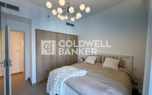 Fully Furnished | Vacant | Park View