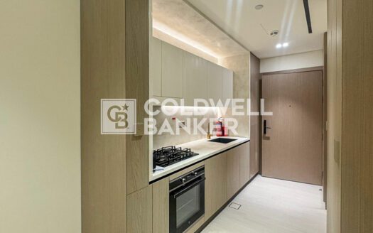 Spacious Studio |  Best Amenities | City View