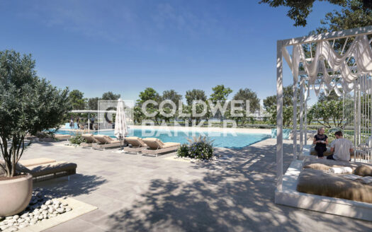Huge Plot | Negotiable | Community Expert