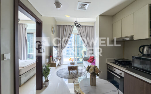 Fully Furnished | Vacant | Canal View