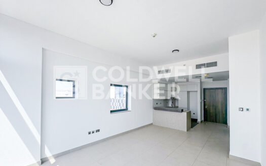 Spacius 1BR | Open views | Vacant