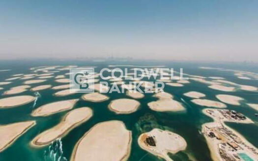 Private Island | Exclusivity | Investor Deal