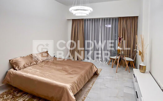 Fully Furnished | Vacant And Ready | Resale