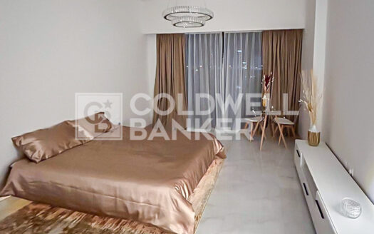 Fully Furnished | Vacant And Ready | Resale